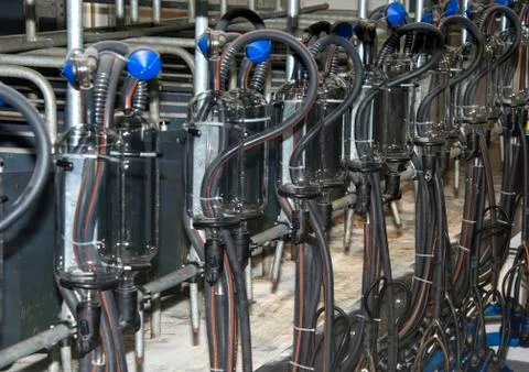 Milking machines Stock Photos