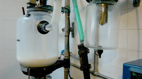 Milking milk container. Stock Footage 63397952
