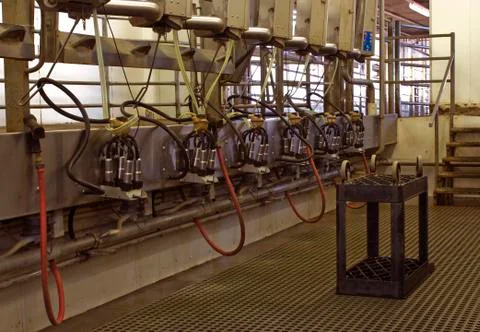 Milking parlor Photos