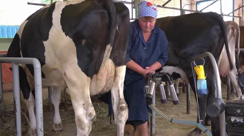 Milking process Stock Footage