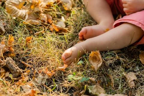 Milkshake with fruit, splashes, light background, space for text Stock Photos