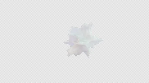 Milky Splash Slow Stock Footage 304647902