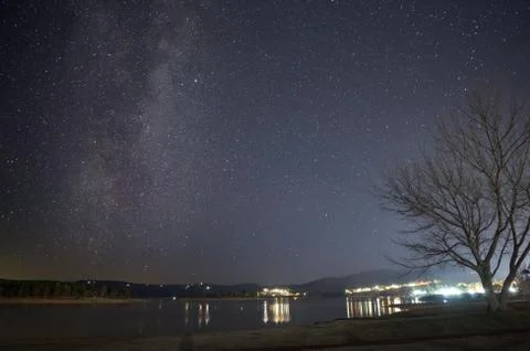 Milky way arcing over a leafless tree on the shore of Lake Jindabyne Stock Photos