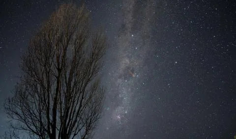 Milky way arcing over a leafless tree with a fireball meteor trail in the sky Stock Photos