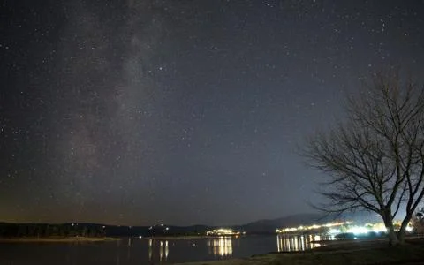 Milky way arcing over a leafless tree on the shore of Lake Jindabyne Stock Photos