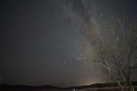 Milky way arcing over a leafless tree on the shore of Lake Jindabyne Stock Photos