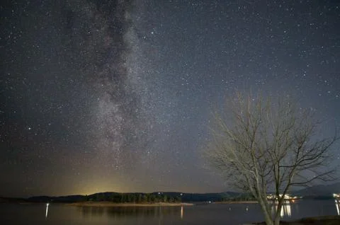 Milky way arcing over a leafless tree on the shore of Lake Jindabyne Stock Photos