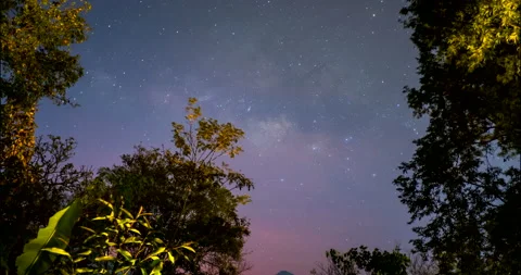 The milky way at the backyard Stock Footage 264790919