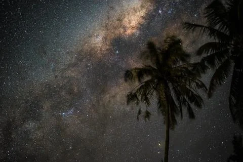Milky Way behind a coconut palm on an island Stock Photos