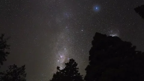 The Milky Way behind some trees near Lake Kingston, New Zealand, 4k Stock Footage 231931327