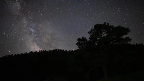 Milky Way Behind Tree over Hill - 4K Timelapse Stock-Footage 151572988