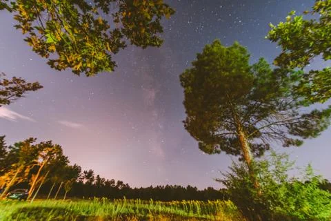 Milky way between trees Stock Photos