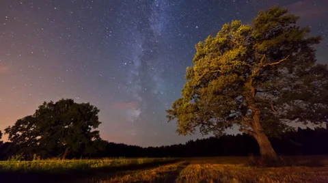 Milky Way between two oaks Stock Footage 28013512