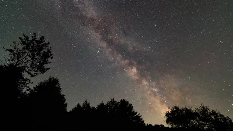 Milky Way core moving behind silhouetted trees time-lapse Stock Footage 202039598