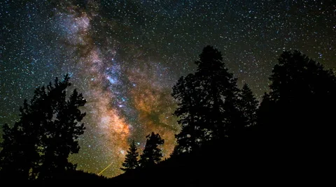 Milky Way Core night timelapse passing through Trees. Stock Footage 40869856