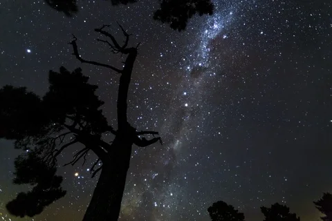 Milky Way Stock Footage 92378629