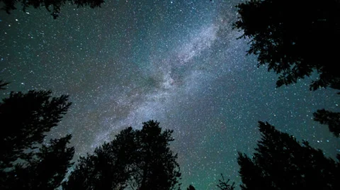Milky Way Forest time lapse - 1080p Stock Footage 39949659
