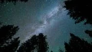 Milky Way Forest Time Lapse - 1080P Stock Footage