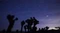 Milky Way Galaxy Joshua Trees 02 Time Lapse Mojave Desert California 4K 4k or 4k+ Resolution