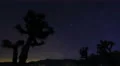 Milky Way Galaxy Joshua Trees 01 Time Lapse Mojave Desert California 4K 4k or 4k+ Resolution