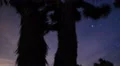 Milky Way Galaxy Joshua Trees 03 Time Lapse Mojave Desert California 4K 4k or 4k+ Resolution