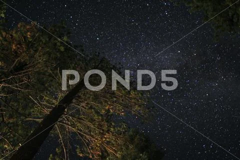 Milky Way Galaxy Lassen National Park Pine Trees USA Stock Photos