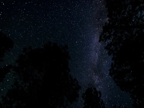 Milky Way Galaxy moves between two trees. Stock-Footage 77633445