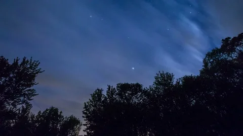 Milky Way Galaxy Moving Through Sky in Forest Stock Footage 81725213