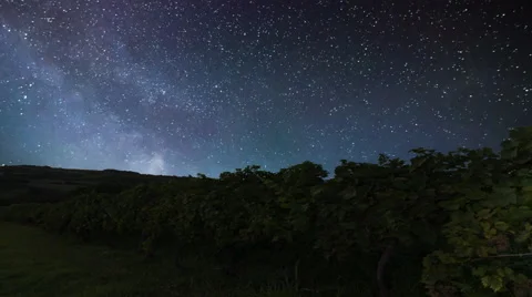 Milky Way galaxy over the vineyard. Perseid Meteor shower. Stock Footage
