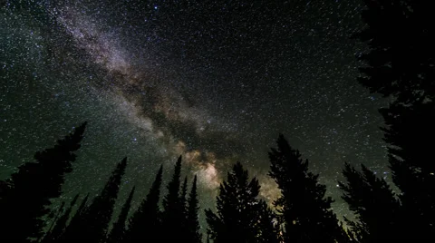 Milky Way galaxy through the forest 库存影片 66426091