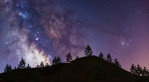 Milky way on mountain with pine trees. astronomy concept Stock Photos
