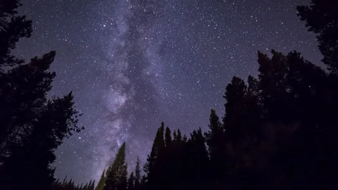 Milky Way Moving Over Trees 4k Timelapse Stock Footage 119696960