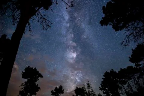 Milky Way in the night sky over the forest Stock Photos