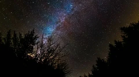 Milky Way over Forest 스톡 동영상 14845813