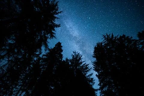 Milky way over forest Stock Photos
