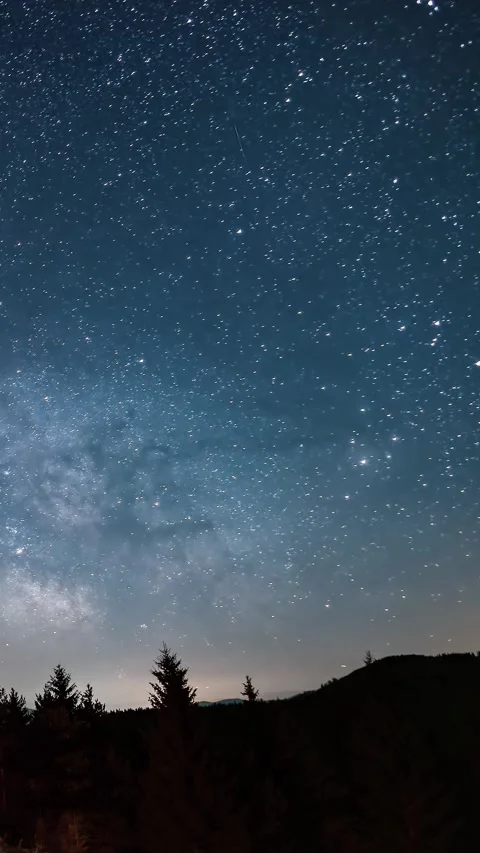 Milky Way Over Forest, Vertical Time Lapse of Starry Night Sky 스톡 동영상 314222386