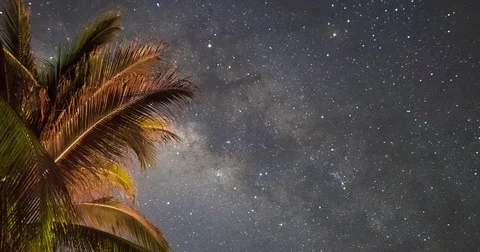 Milky way over palm tree Video stock 80921751