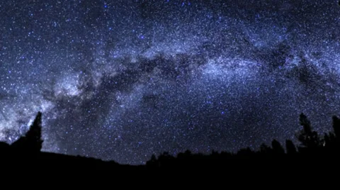 Milky Way over Silhouetted trees Stock Footage 29622366