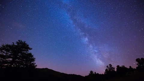 Milky Way  over trees Stock Footage 70807496