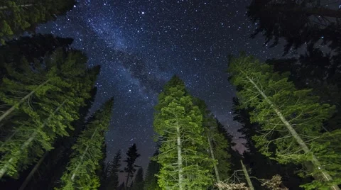 The Milky Way Over Trees In Yosemite National Park Night Sky Timelapse
