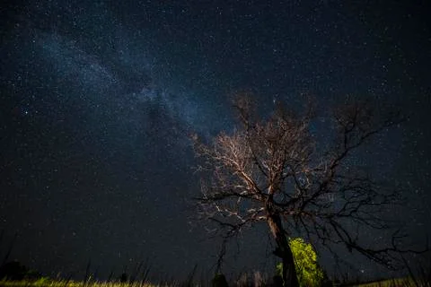 Milky Way Stock Photos