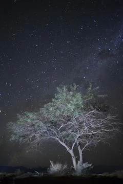 Milky Way Stock-Fotos