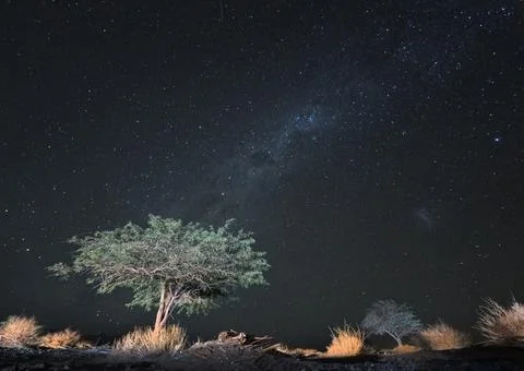 Milky Way Stock-Fotos