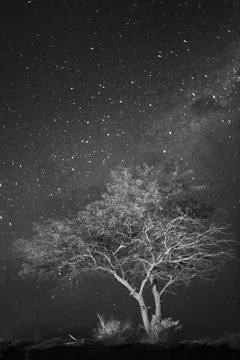 Milky Way Stock-Fotos