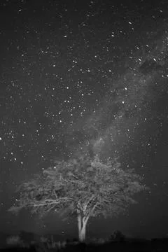 Milky Way Stock Photos