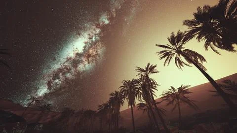 The Milky Way rises over plam trees Stock Illustration