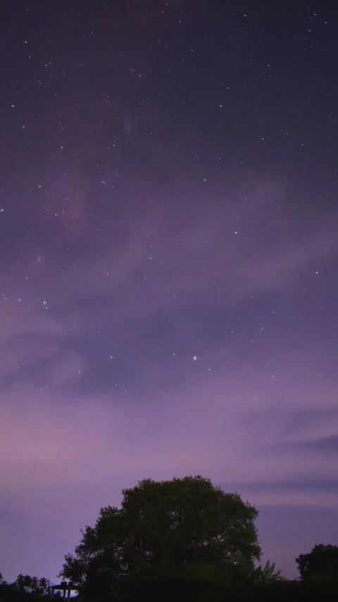 Milky Way Setting Behind Tree – Peaceful Night Timelapse Stock Footage 313558308