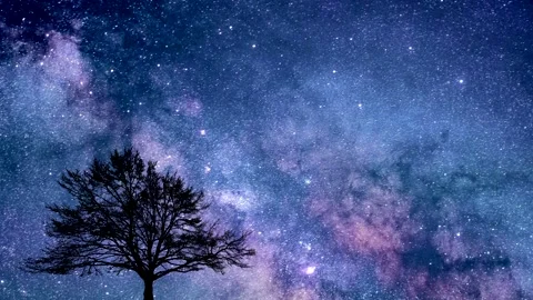 Milky way, stars in time lapse - black tree silhouette - motion night sky Stock Footage 150584875
