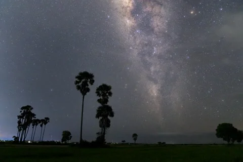 Milky Way with sugar palm trees in the Cambodian countryside - time lapse Stock Footage