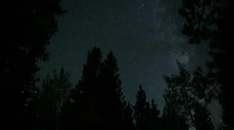 Milky Way Time-Lapse above Forest Canopy Stock Footage